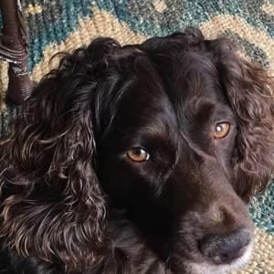 Meet your Posher, Kat